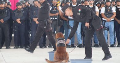 Realizan en la USJT Exhibición de Agrupamientos Canino y Montada de la SSPT