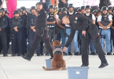 Realizan en la USJT Exhibición de Agrupamientos Canino y Montada de la SSPT