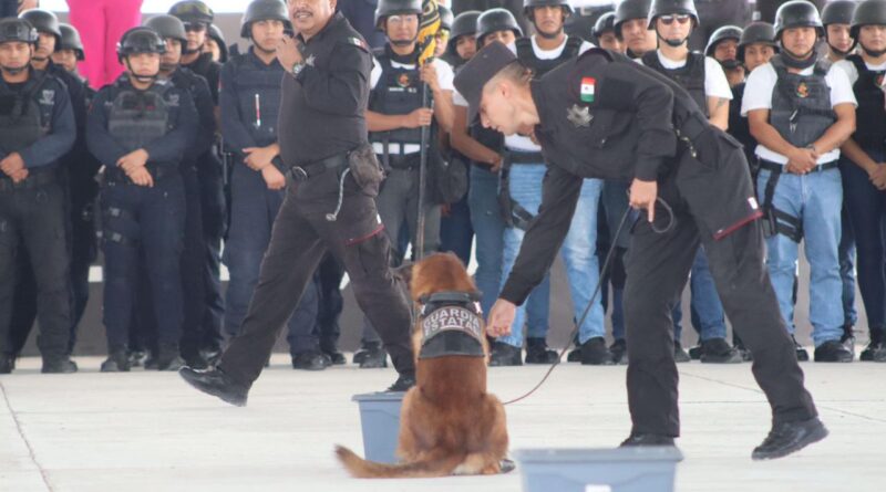 Realizan en la USJT Exhibición de Agrupamientos Canino y Montada de la SSPT